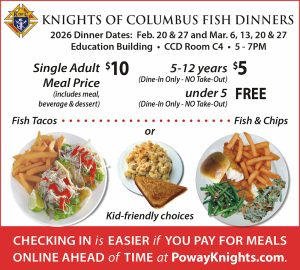 Fish Dinner (Single Meals)